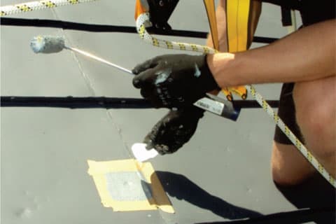 20126_31187.jpg