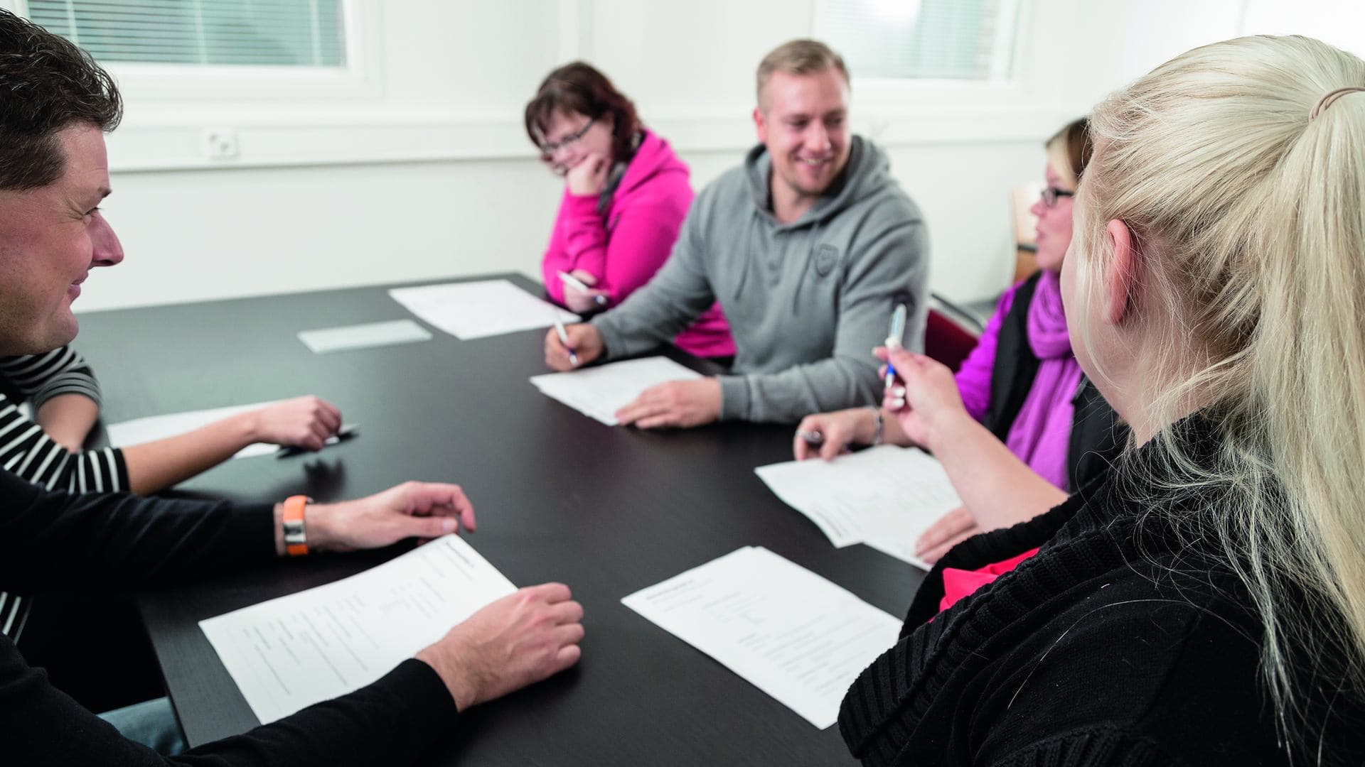 Hallituksen kokouksia