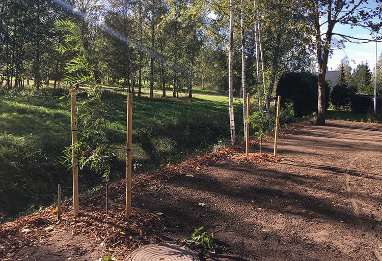 Piharakenteiden kunto kannattaa tutkia ennen pihasuunnittelun aloittamista. Tarvittaessa uusilla rakenteilla, kuten tukimuureilla ja aidoilla saadaan pihaan lisää tilaa ja järjestystä.