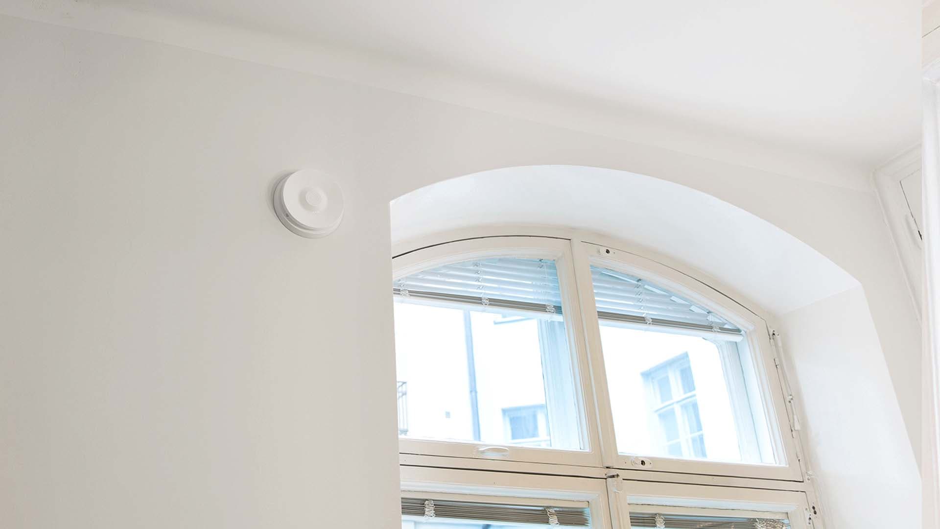 Asianajaja vastaa: Mikä on asukkaan oikeus terveelliseen sisäilmaan?