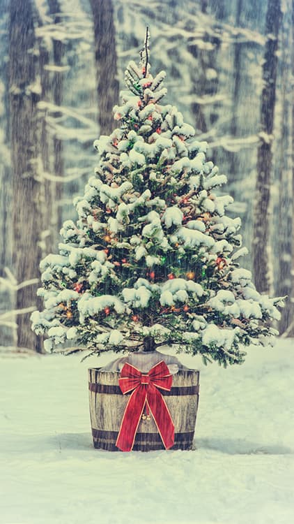 <p data-block-key="n84qh">Voisiko taloyhtiön kuusi sijaita rappukäytävän sijasta vaikka taloyhtiön pihalla?</p>