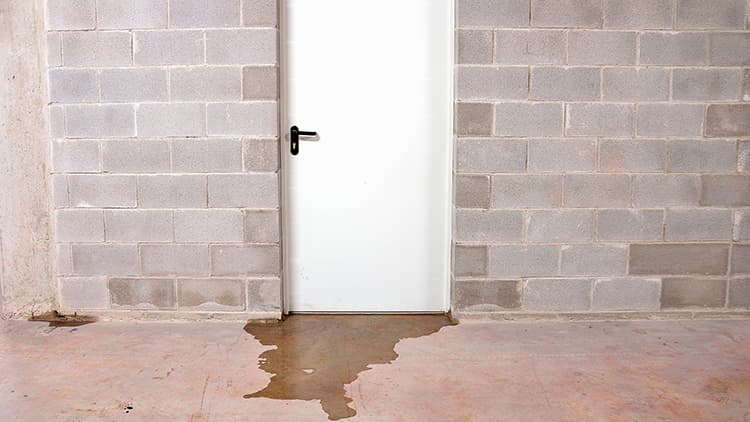 Joutuuko huolimatto­muudesta vastuuseen isännöitsijä vai hallitus?