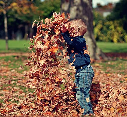 <p data-block-key="kel9d">Syystalkoot kokoavat asukkaat yhteen – yhteinen tekeminen pitää pihan kunnossa ja vahvistaa taloyhtiön yhteishenkeä.</p>