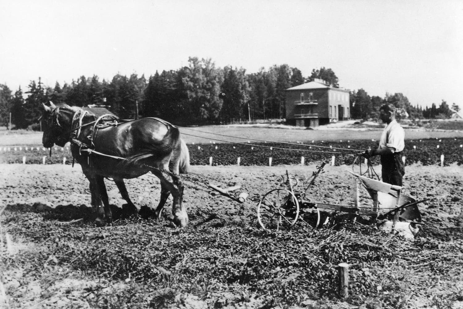 Esimerkki Vantaan kaupunginmuseolta löytyneistä kuvista. Assistenttien talo näkyy taustalla.