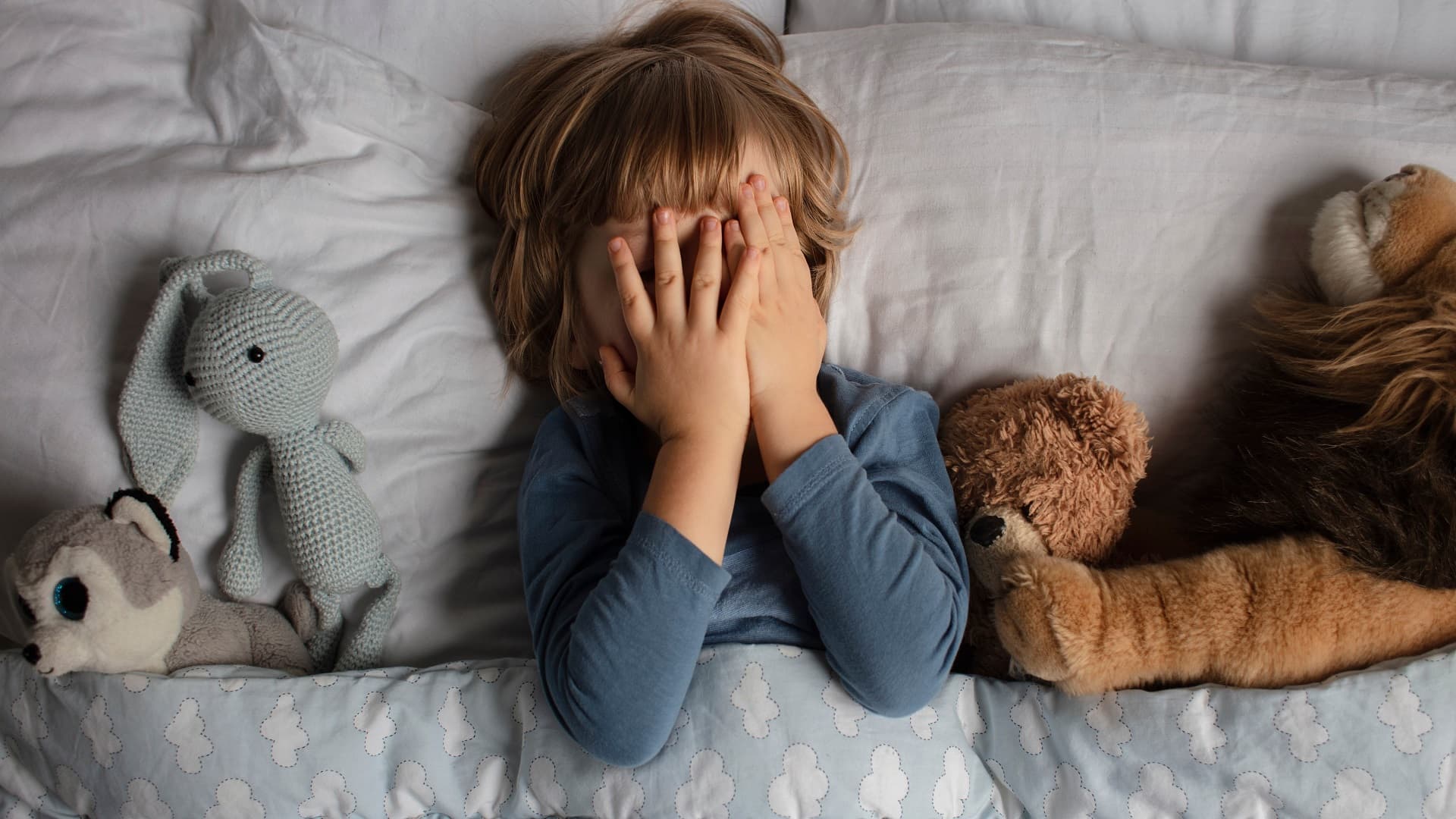 Lutikka viihtyy siellä missä ihmisetkin