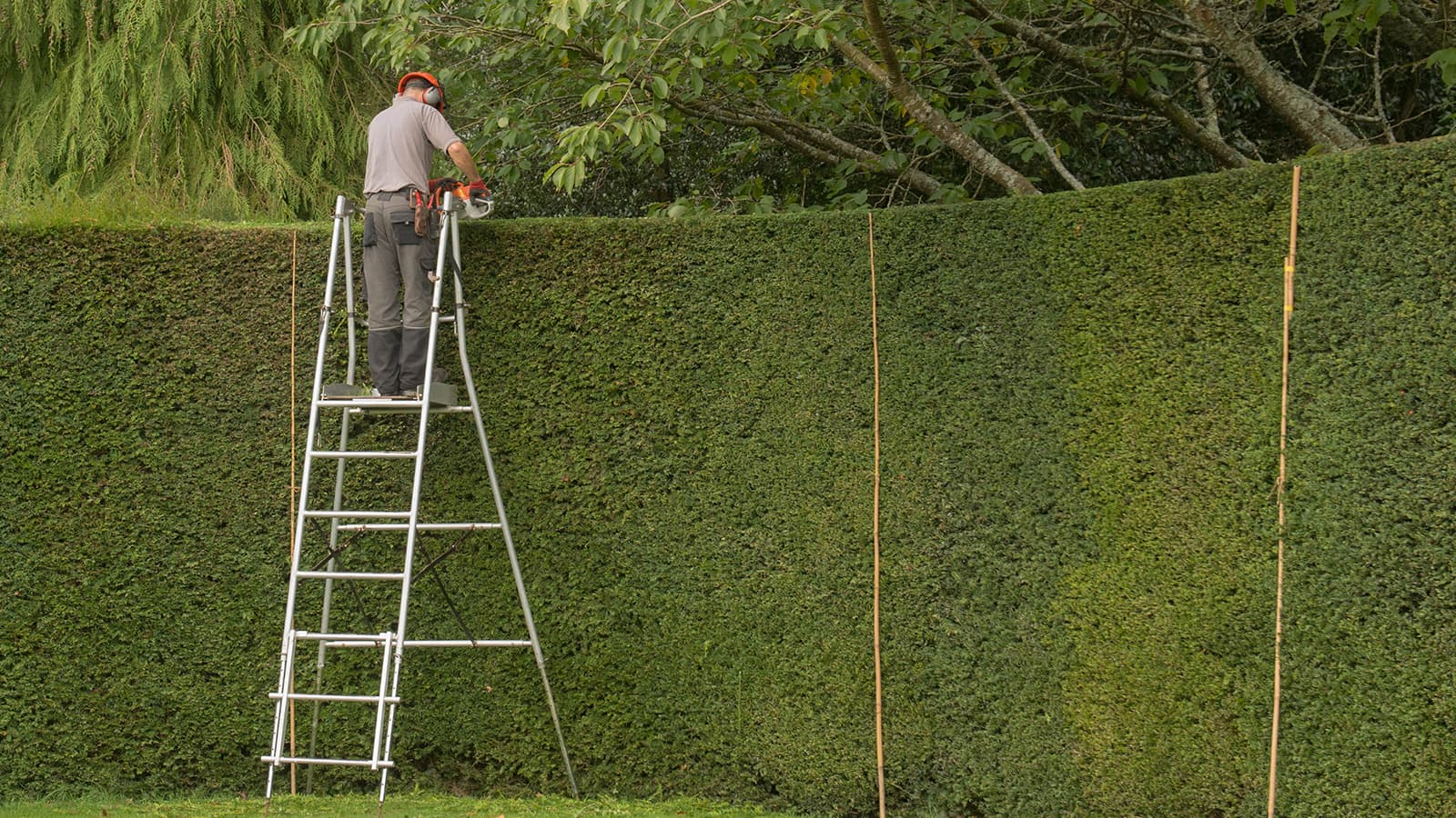 Miten korkeaksi taloyhtiössä saa aidan kasvattaa?