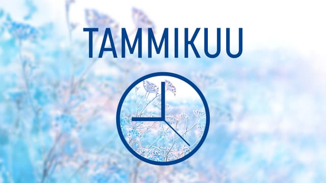 Taloyhtiön vuosikello: Tammikuu logo
