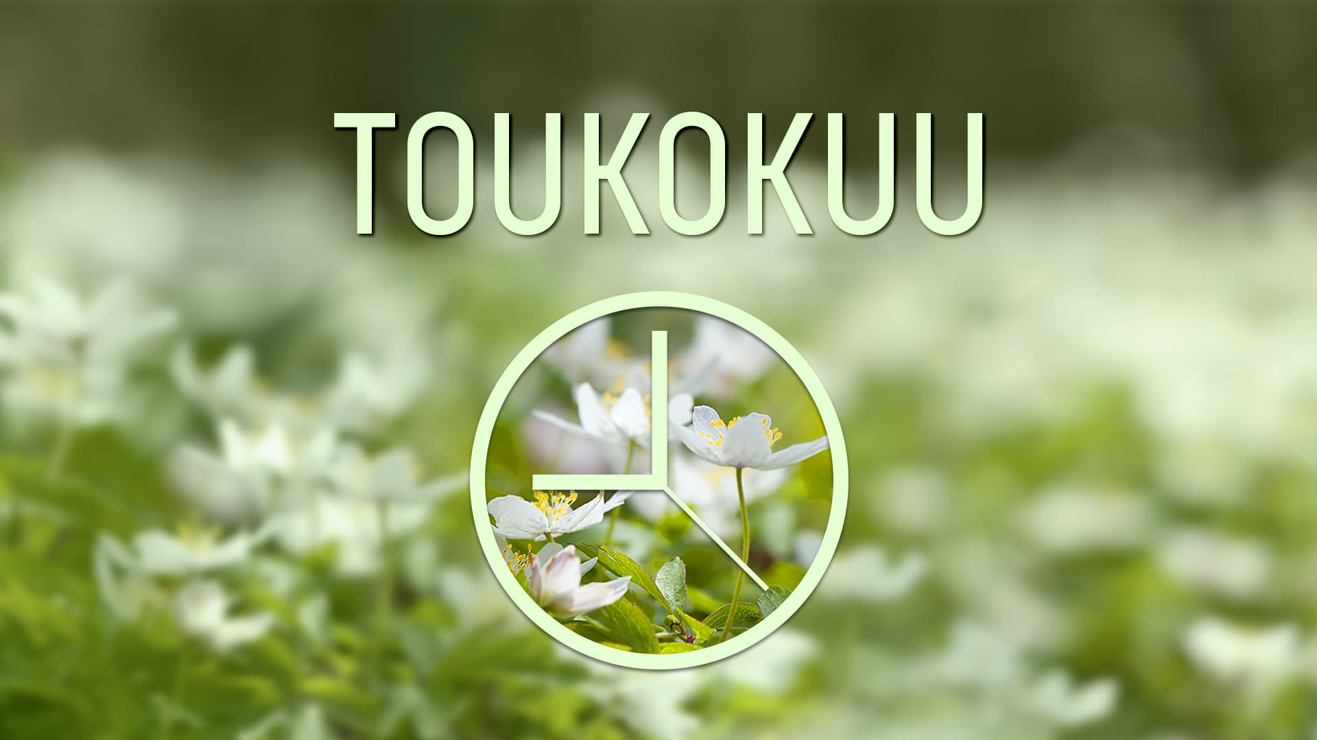 Taloyhtiön vuosikello tikittää: Toukokuu