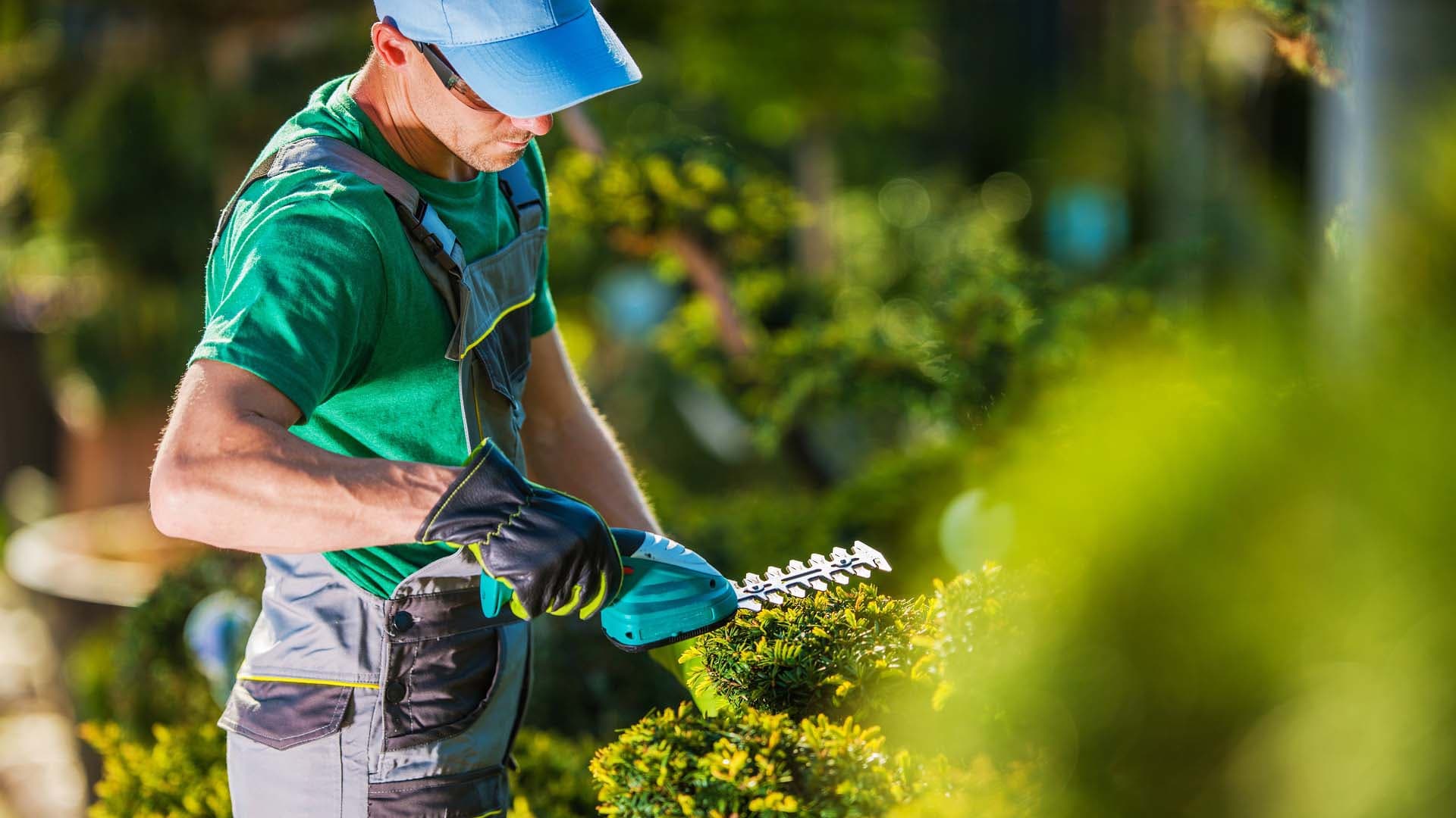 Yhteispiha asukkaiden hoidossa - näin se saadaan toimivaksi