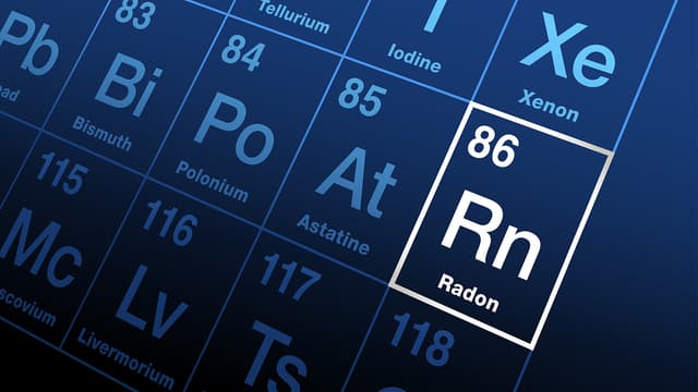 20235_81727.jpg