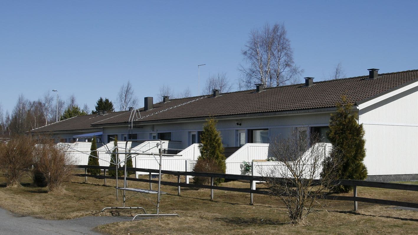 Viikon kysymys: Puun kaato rivitalossa, kenen vastuulla?