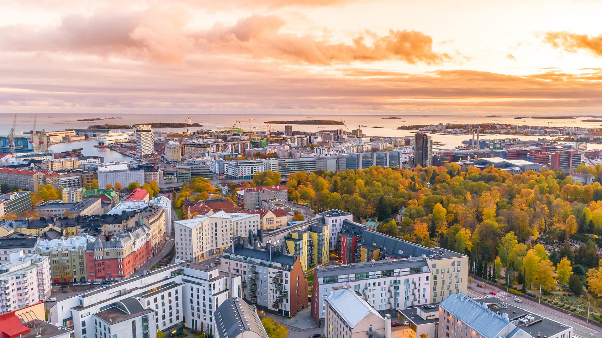 OTM, Toimitusjohtaja Markus Talvio Lakimies JuriNet