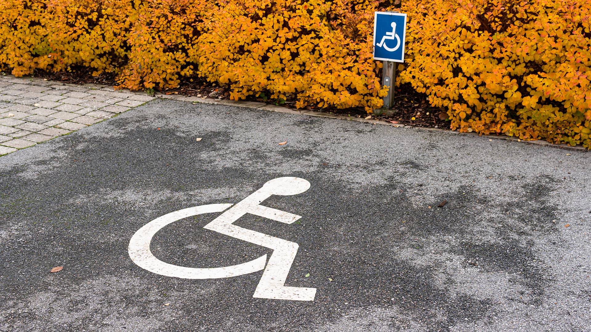 Viikon kysymys:  invaparkkipaikka taloyhtiön pihan alueelle