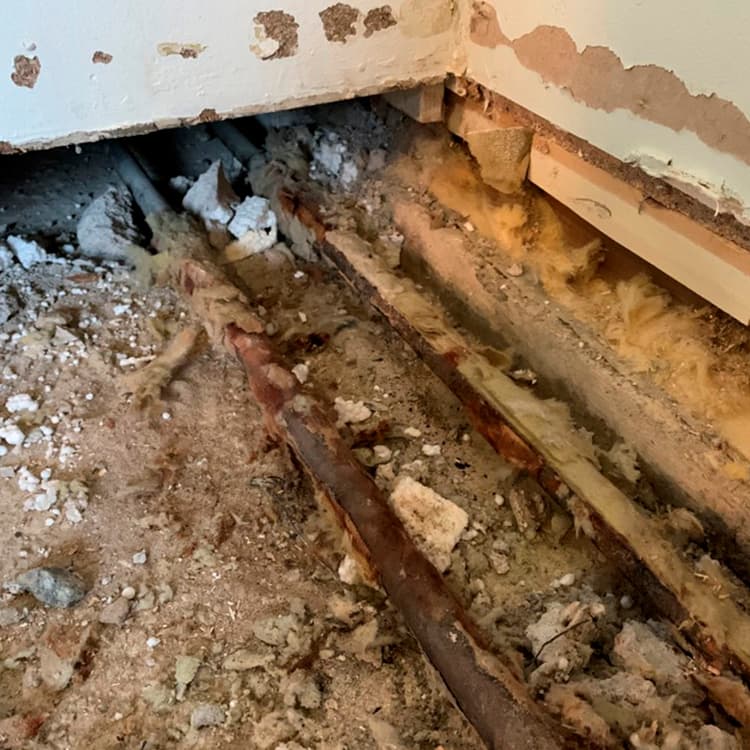 <p data-block-key="u0tm4">Kodinhoitohuoneessa olevat lämmitysputket olivat pahasti ruostuneet kosteuden takia. (Kuva SafeDrying)</p>