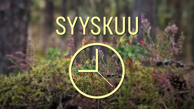 taloyhtiön vuosikello syyskuu