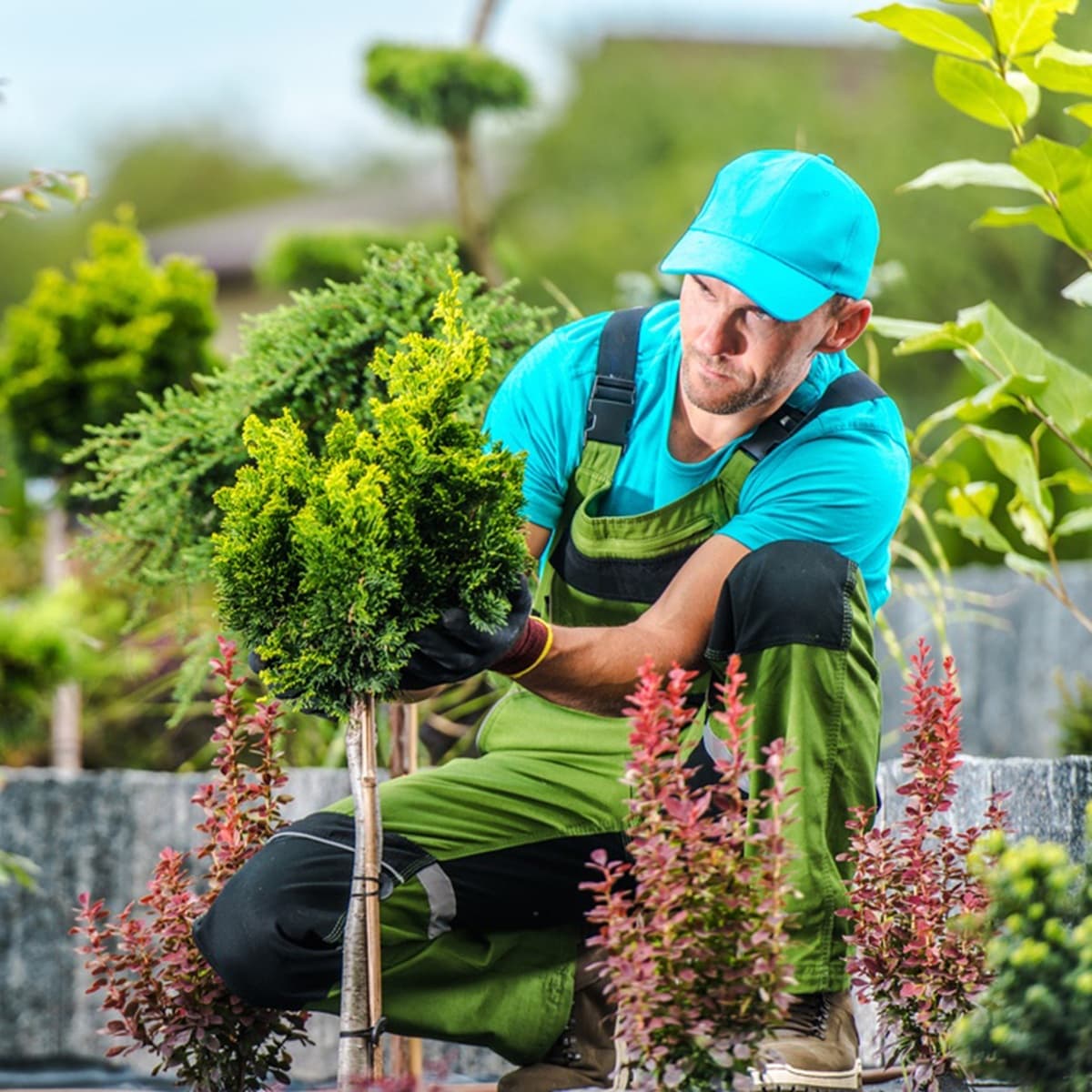 <p data-block-key="x8hdo">Istutustyön viimeistelty ilme syntyy yksityiskohtien hiomisesta.</p>