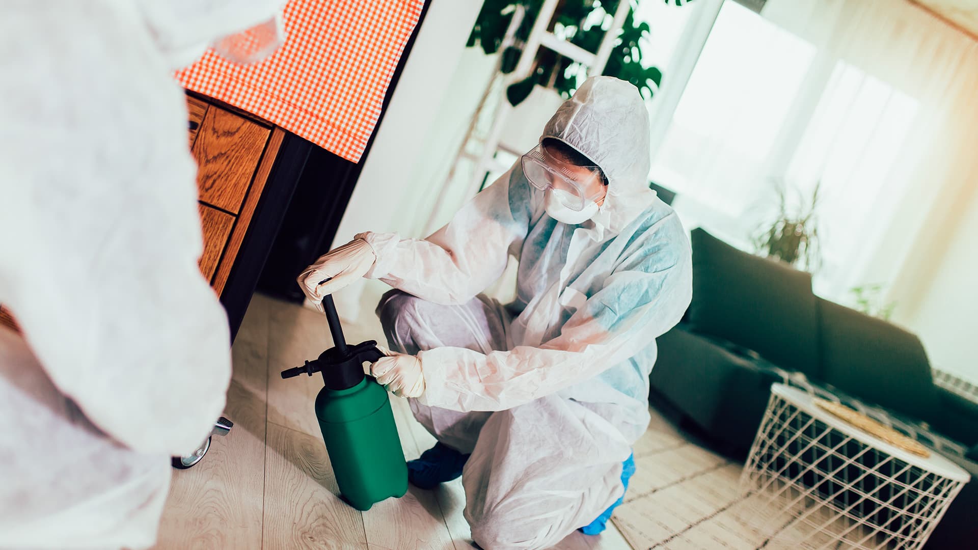 Viikon kysymys: Luteet levisivät saunasta, isännöitsijä ei kertonut hallitukselle