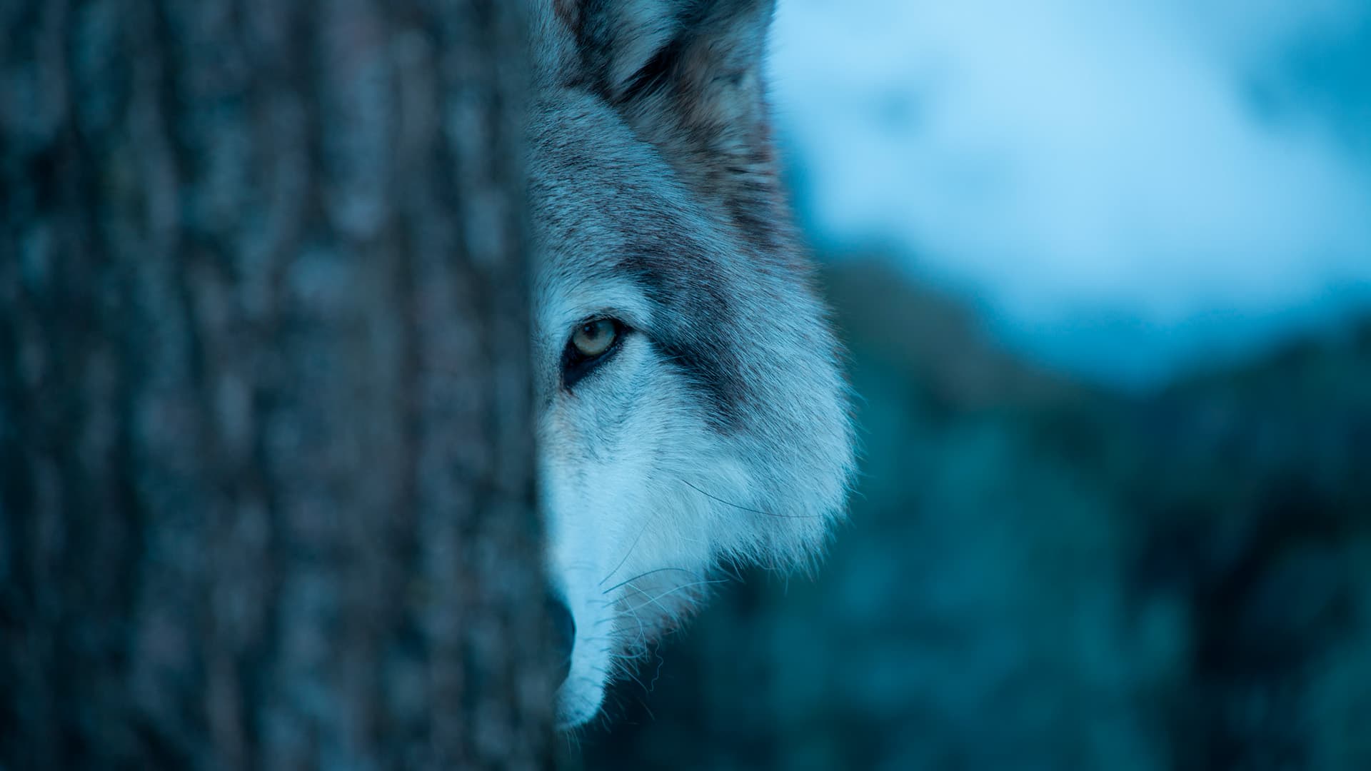 Energiahukka taloyhtiössä