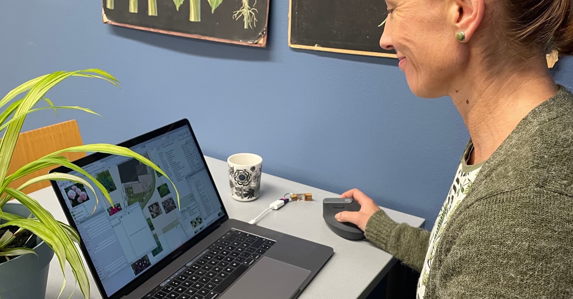 Pihasta puutarhaksi hyvällä suunnittelulla