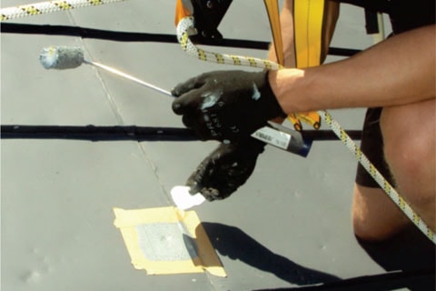 20126_31187.jpg