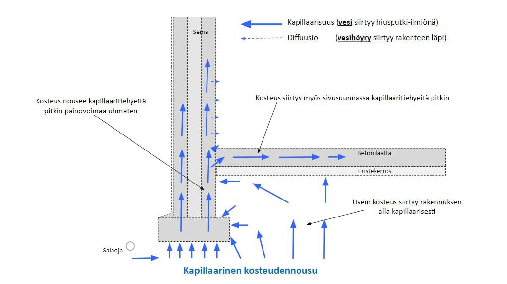 Esimerkki kapillaarisesta kosteudennoususta.