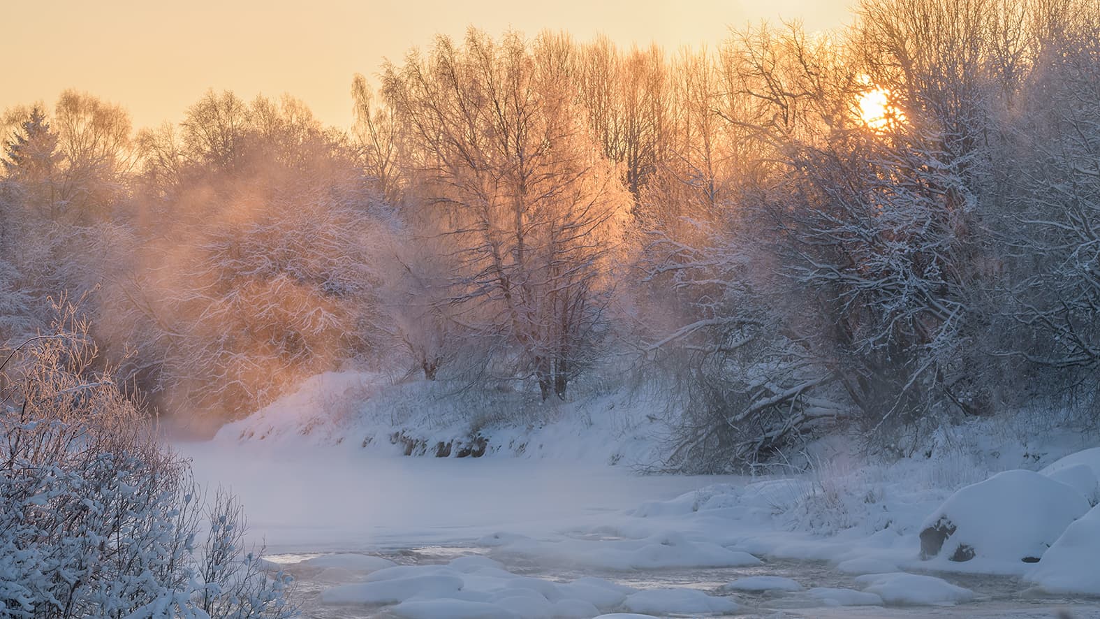 Kun puutarha nukkuu, ideat versovat – talvi on suunnittelun aikaa