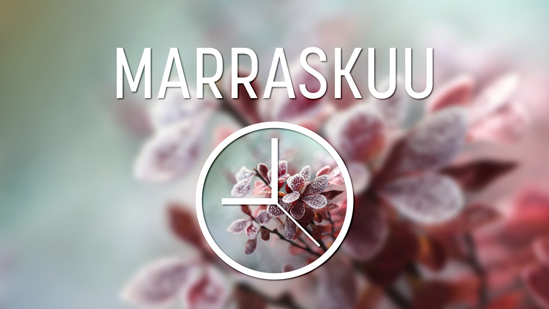 Taloyhtiön vuosikello marraskuu
