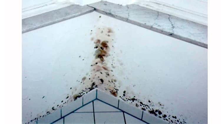 Ilmanvaihdolla asumismukavuutta ja energiansäästöä