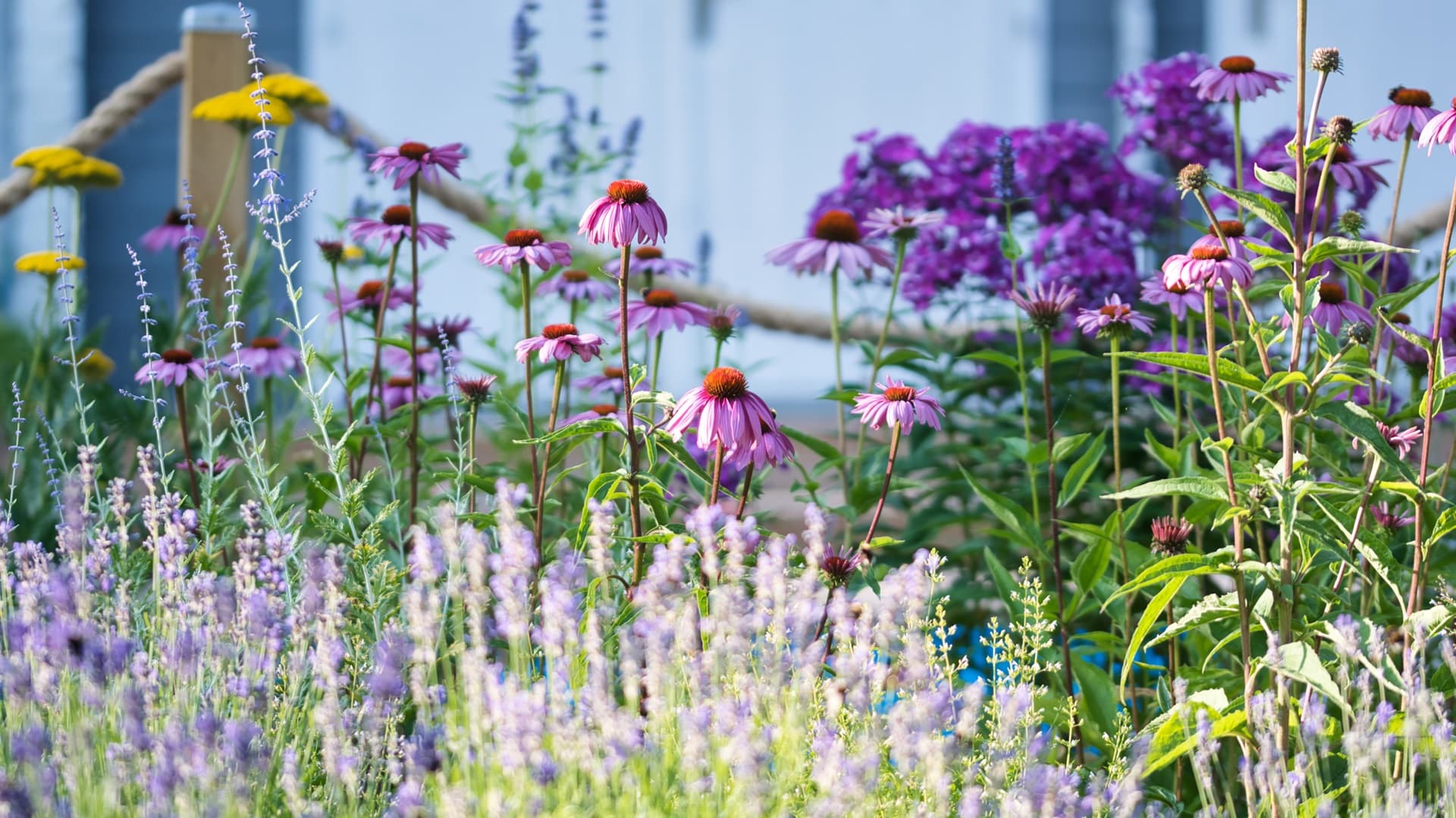 <p data-block-key="0mqs1">Viihtyisämpi piha taloyhtiöllesi – Muhevainen tarjoaa laadukkaat kasvit ja asiantuntevan palvelun, jotta pihaympäristösi kukoistaa. (Kuva: iStock)</p>