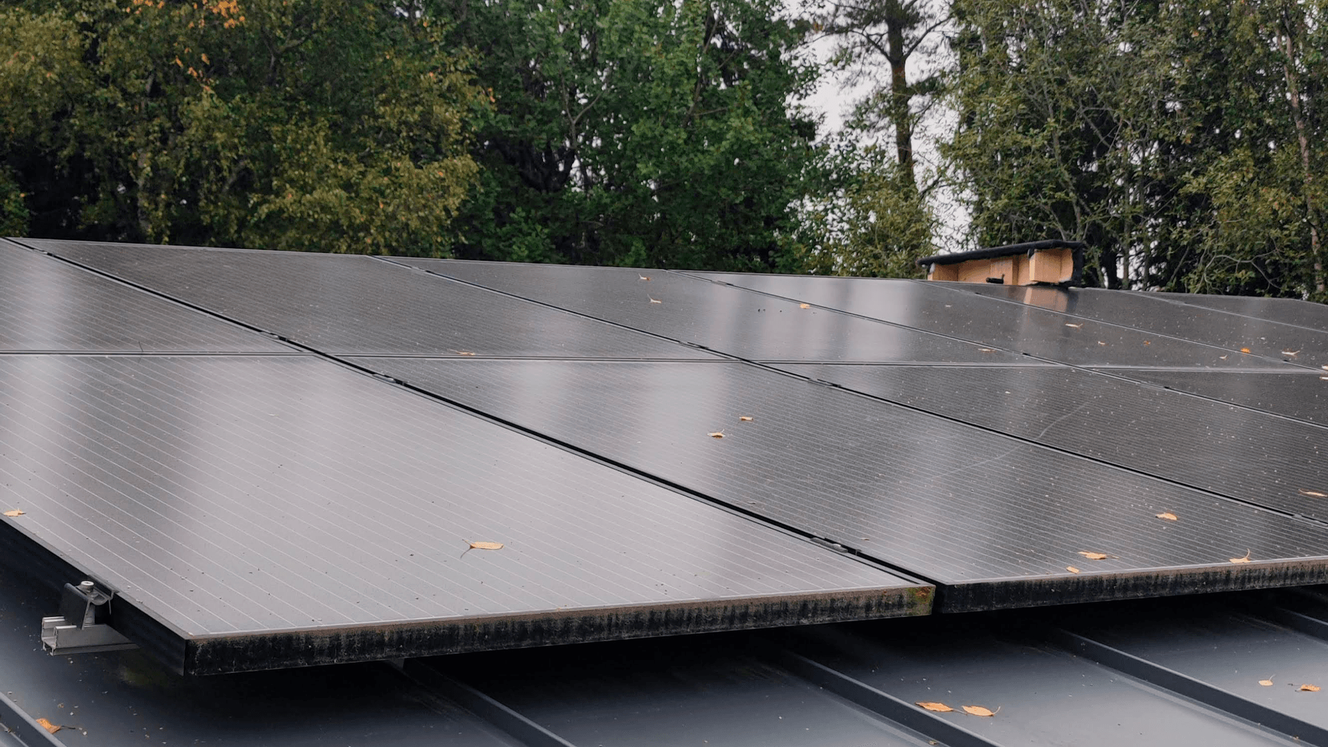 Miksi aurinkopaneelit pitää puhdistaa